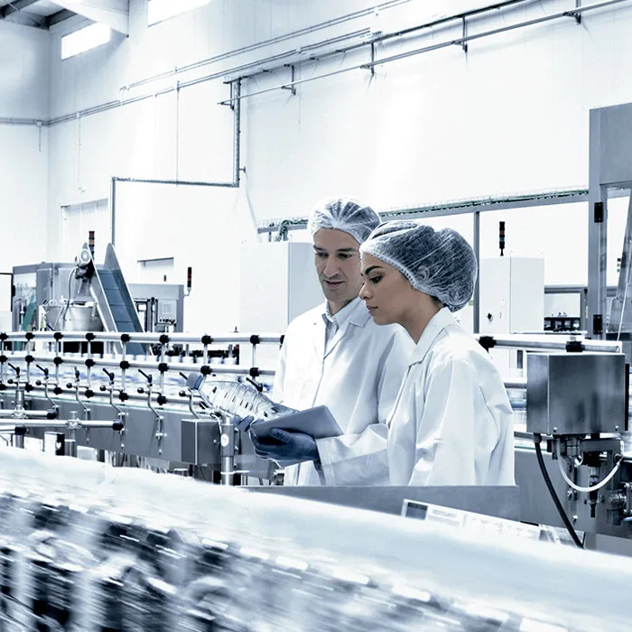 PRODUCTION LINES CHECK-UP